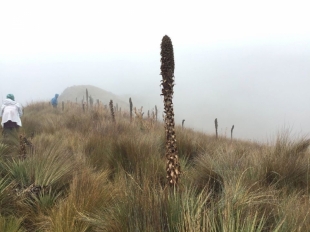 Imagen Volcán Imbabura